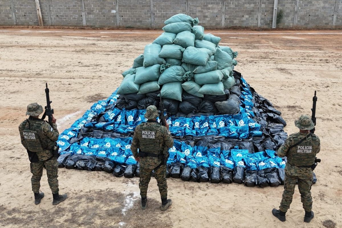 N&atilde;o &eacute; a banda: PM apreende 400 mil p&eacute;s de maconha &lsquo;skunk&rsquo; na Bahia. Foto:PMBA