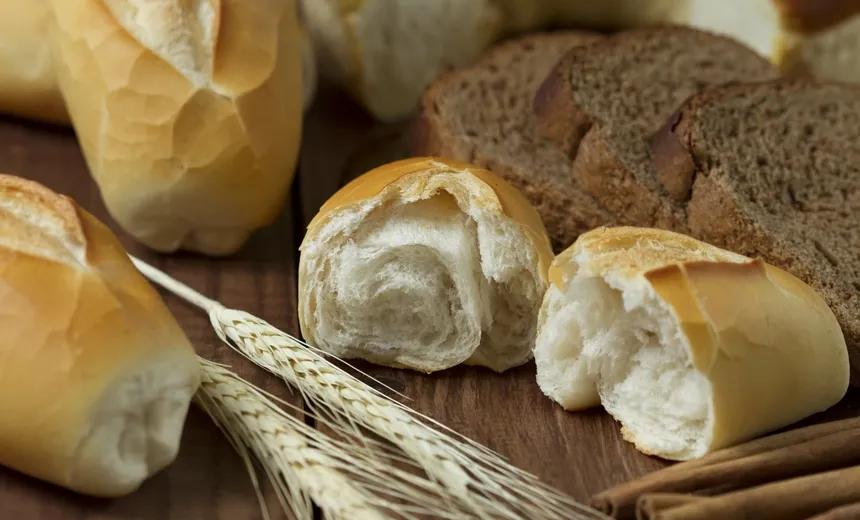 Vídeo: concurso elege 'Melhor Pão Francês' de Salvador e RMS; saiba como participar