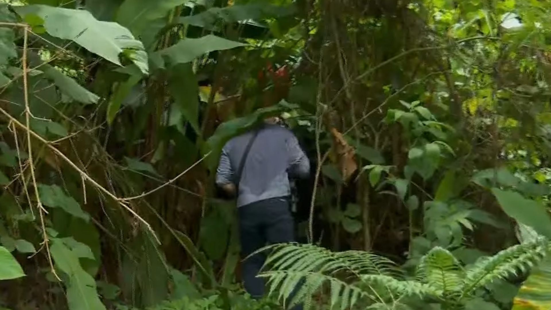 Foto: reprodu&ccedil;&atilde;o | Al&ocirc; Juca