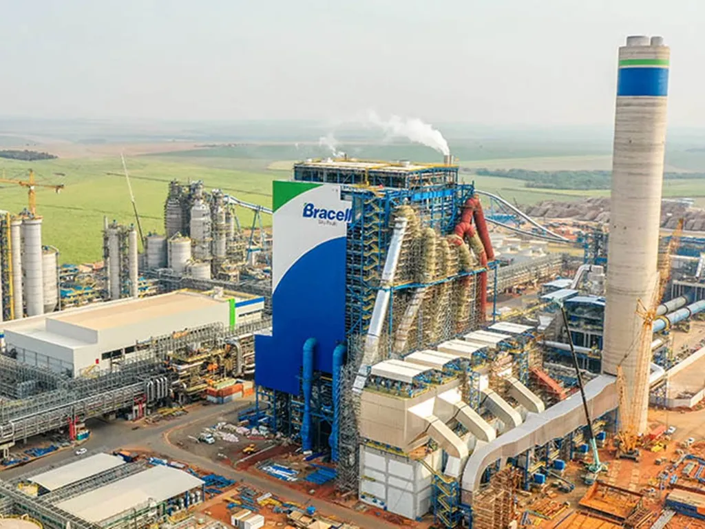 Bracell abre Programa de Trainee 2026 com salário de R$ 7,5 mil