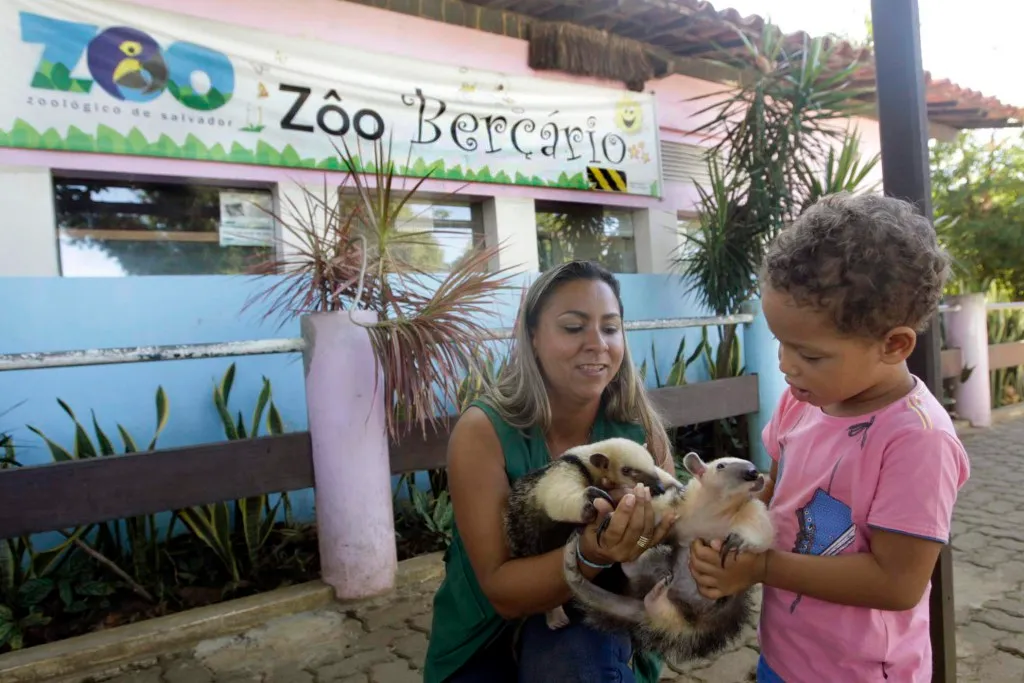 Zoológico funciona normalmente no feriado de 7 de setembro