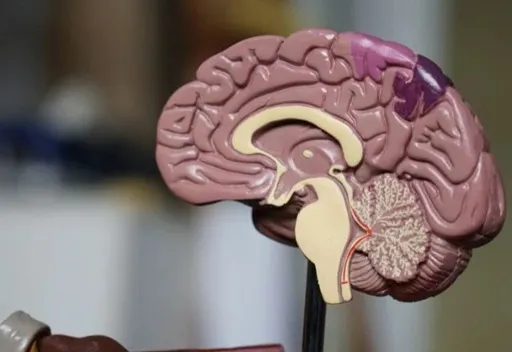 UE aprova medicamento de nova geração para Alzheimer