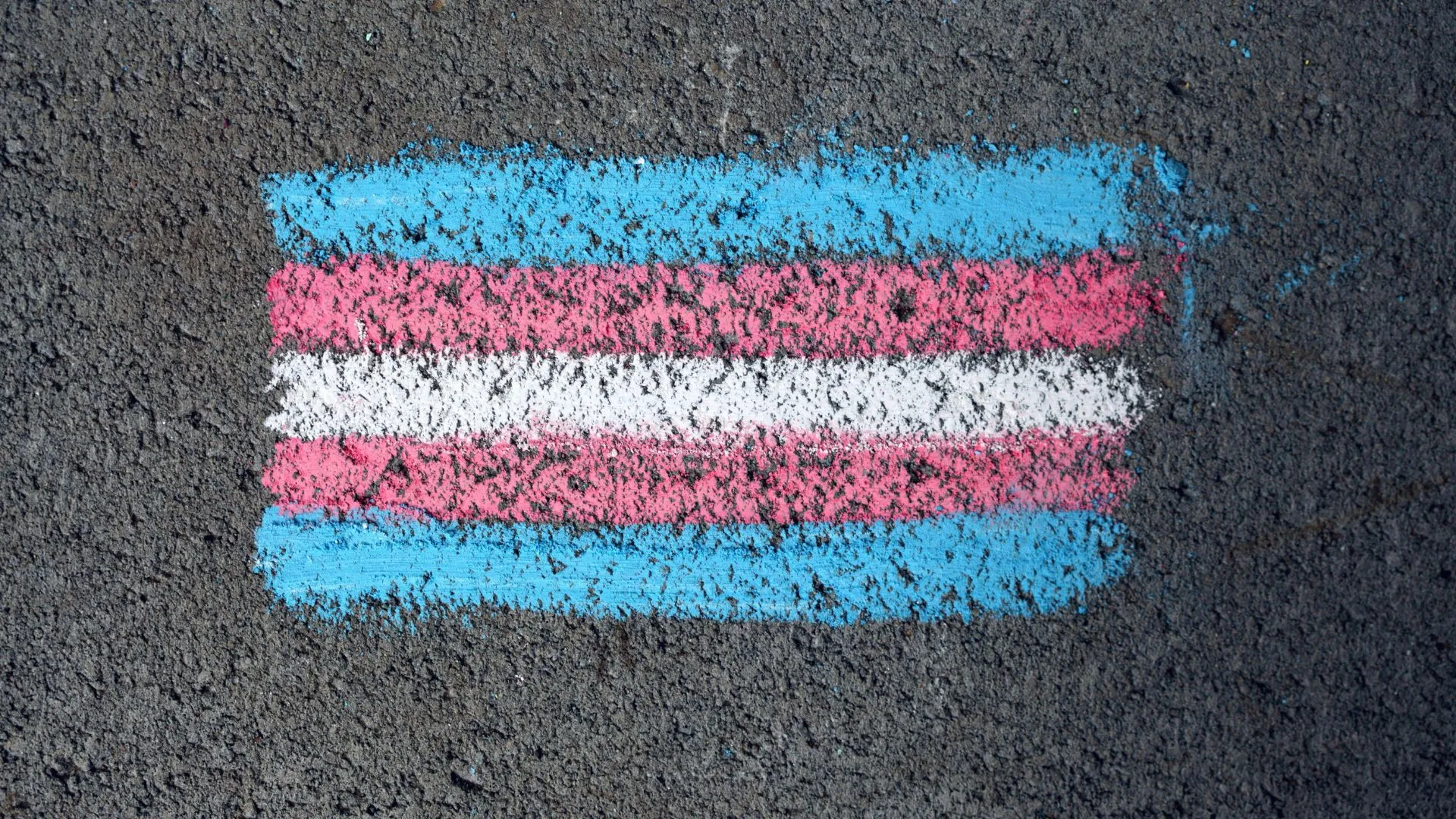 Mulheres trans baleadas em Salvador e RMS. Foto: ilustrativa pexels