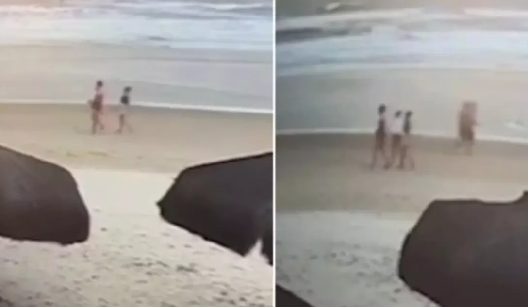 Mulheres assassinadas em Ilhéus estavam passeando com um cachorro. Foto: redes sociais 