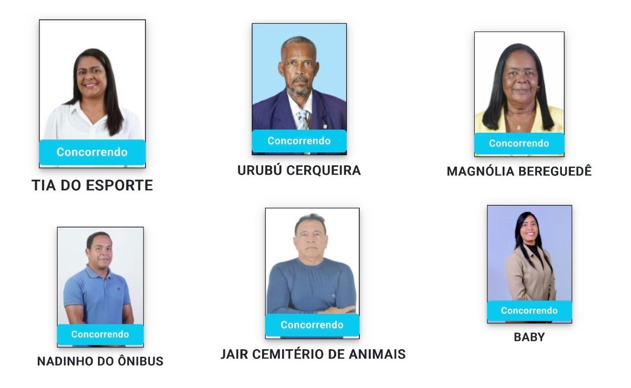 Deputados apostam em chamar aten&ccedil;&atilde;o do eleitor pelo nome na urna