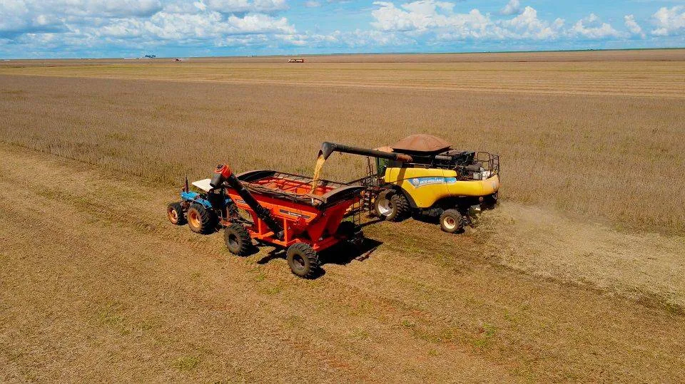 Produção de grãos no Oeste da Bahia segue em destaque e representa 89% do montante estadual e 3,3% do nacional