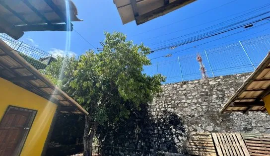 Gatos são torturados no bairro de Itapuã, em Salvador; um dos animais foi arremessado