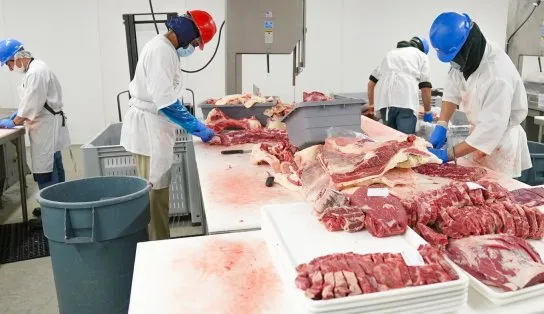 Busca por emprego ou estágio em Salvador? Confira 48 vagas disponíveis em diferentes setores