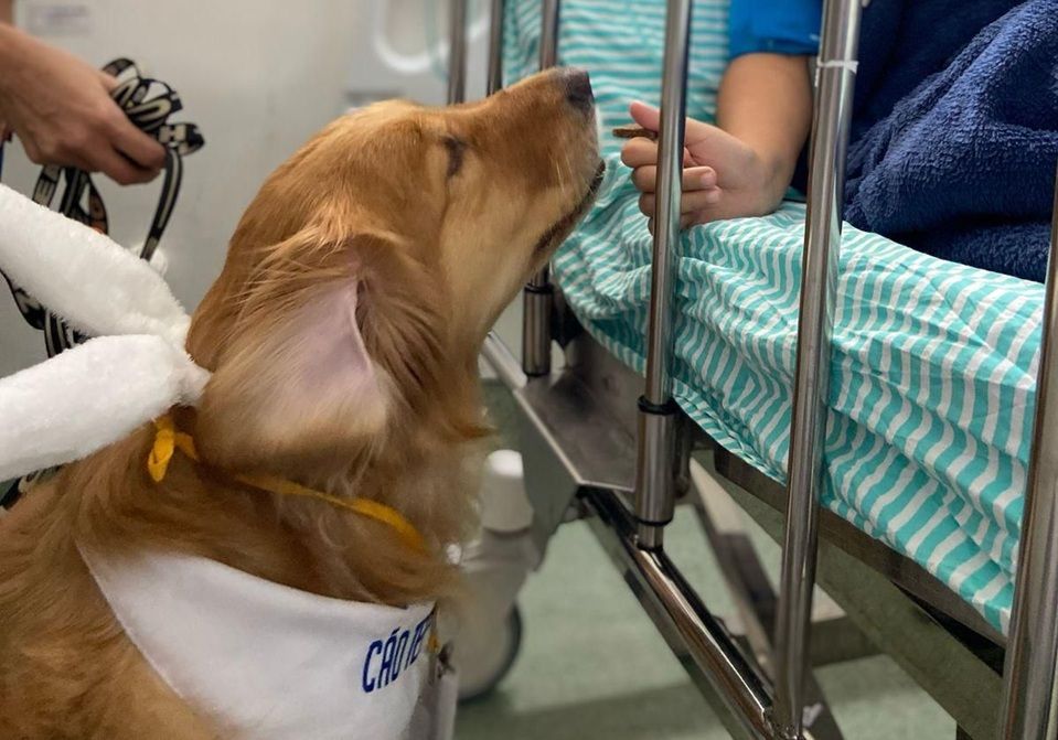 Fotodoiscaoterapeuta