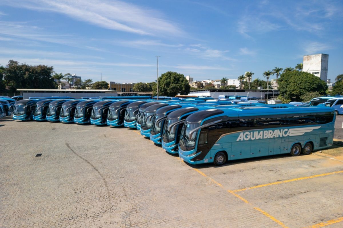 Inscrições para as vagas de emprego da Águia Branca seguem abertas até o início de setembro pelo portal de vagas.Foto: Divulgação