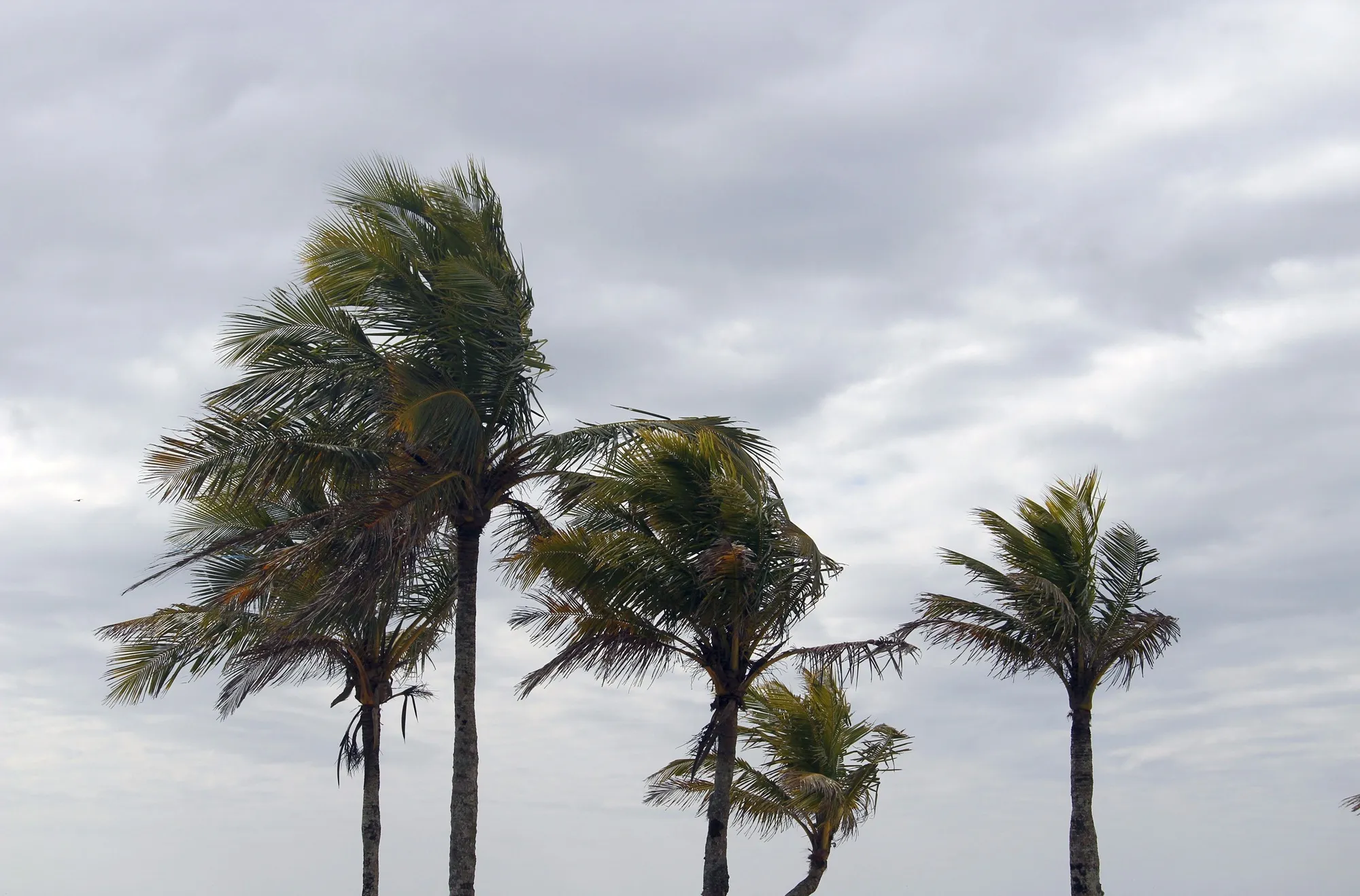 Inmet emite alerta de vendaval para mais de 80 cidades da Bahia; veja lista