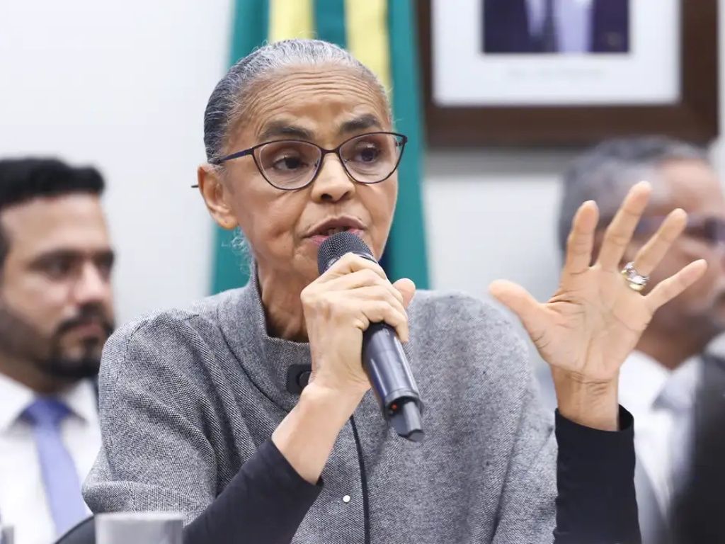 Ainda em maio, Marina Silva foi atacada durante uma sessão no Senado Federal. Foto: Vinicius Loures/Câmara Dos Deputados