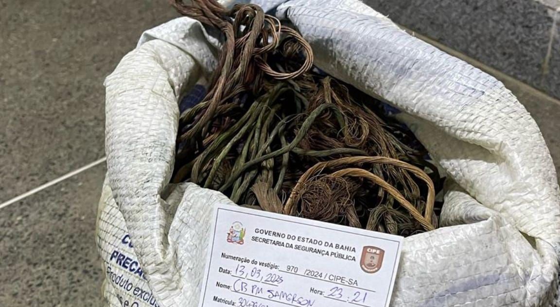 Furto aconteceu no município de Irecê. Foto: CIPE Semiárido