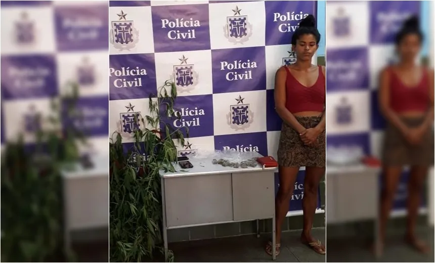 Jovem que plantava maconha no quintal é presa na Bahia