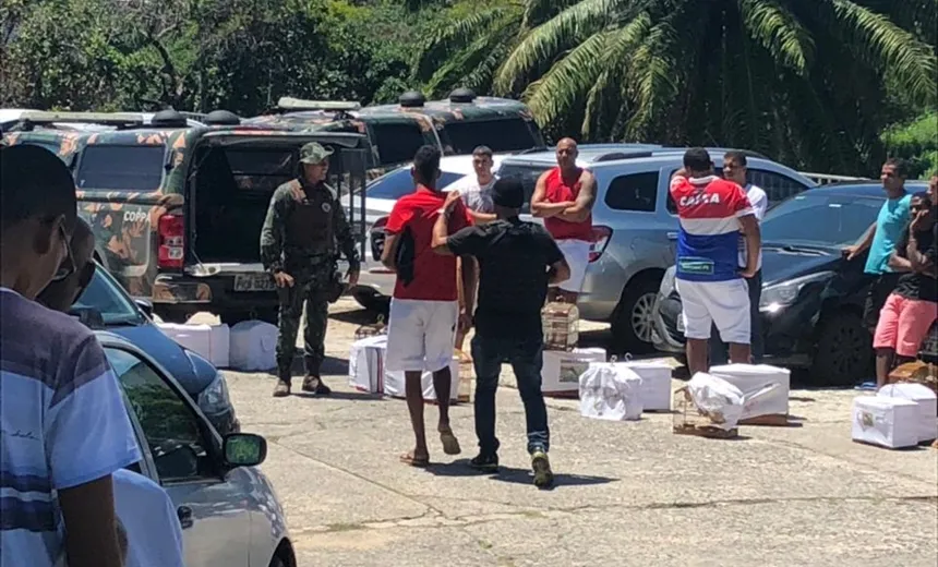 ANIMAIS SILVESTRES: Doze pessoas são presas e 22 aves apreendidas no Cabula