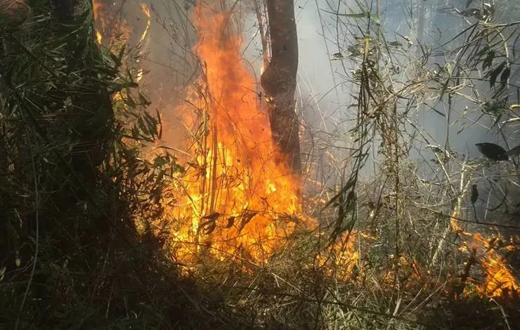 União de esforços busca conter incêndio na Serra dos Órgãos, no Rio