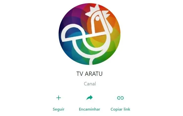 TV Aratu lança canal no WhatsApp; veja como receber vídeos da emissora no celular