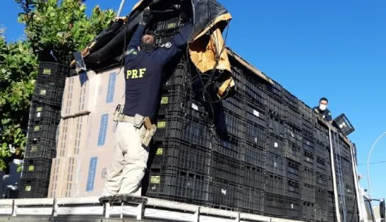 Em seis meses, mais de 10 milhões de cigarros contrabandeados foram retirados de circulação das rodovias baianas; prejuízo ao crime é de R$ 2,6 milhões