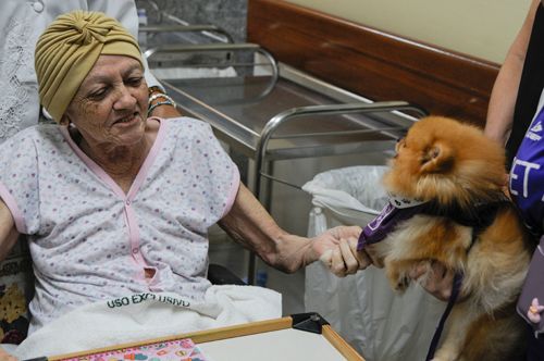 Pet faz alegria de pacientes em hospital Foto Geovana Albuquerque Secretaria De Saúde