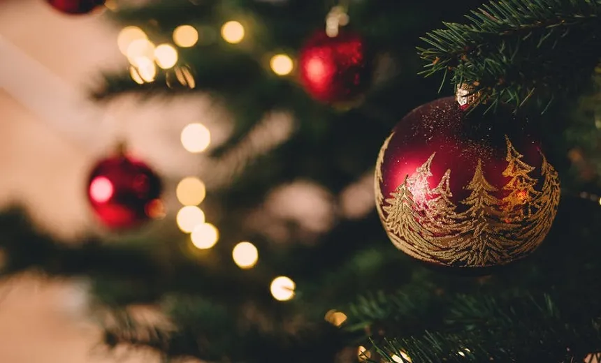 ‘HO HO HO’: Decoração de Natal é tema de concurso em Stella Maris; Veja casa vencedora