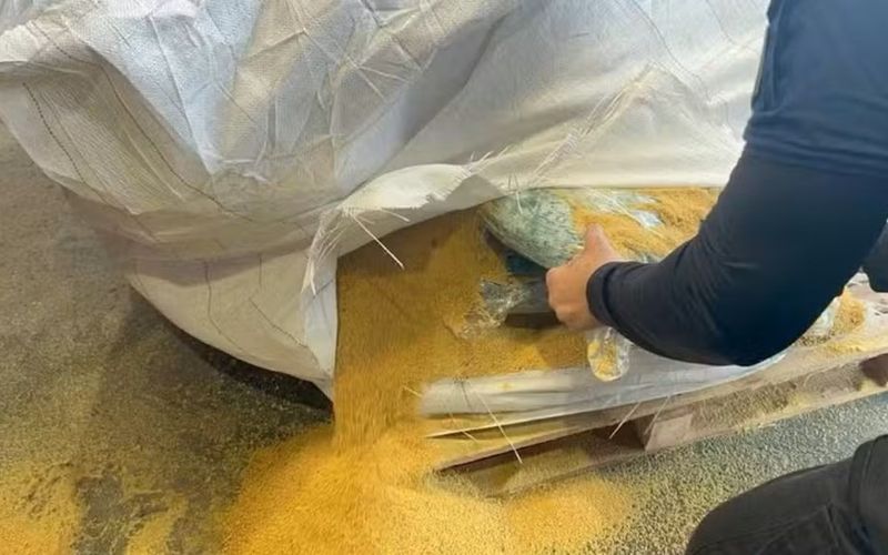 Somente em 2020, mais de 6,7 toneladas de Cocaina foram apreendidas pela Receita Federal no Porto de Salvador em diferentes opera&ccedil;&otilde;es/Foto: Receita Federal&nbsp;