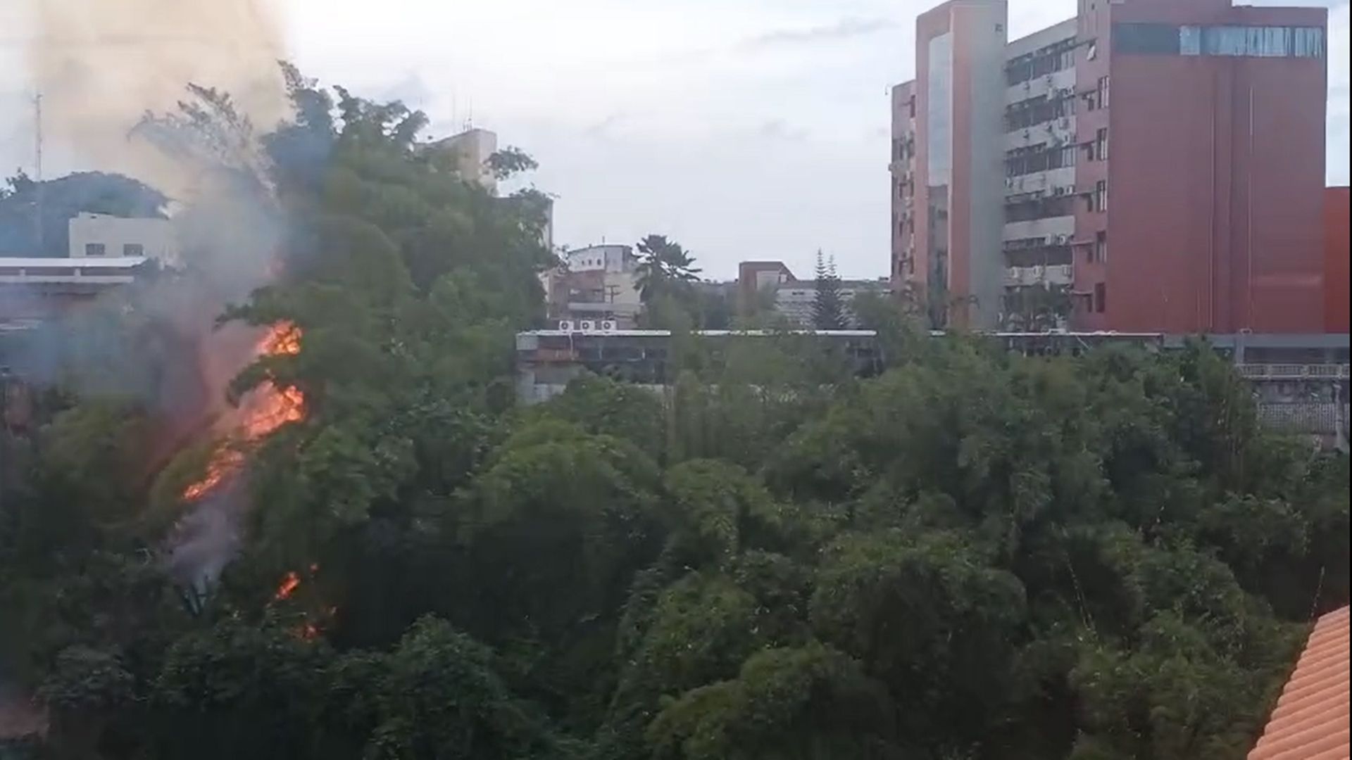 Incêndio em vegetação próxima à secretaria em Sussuarana, Salvador