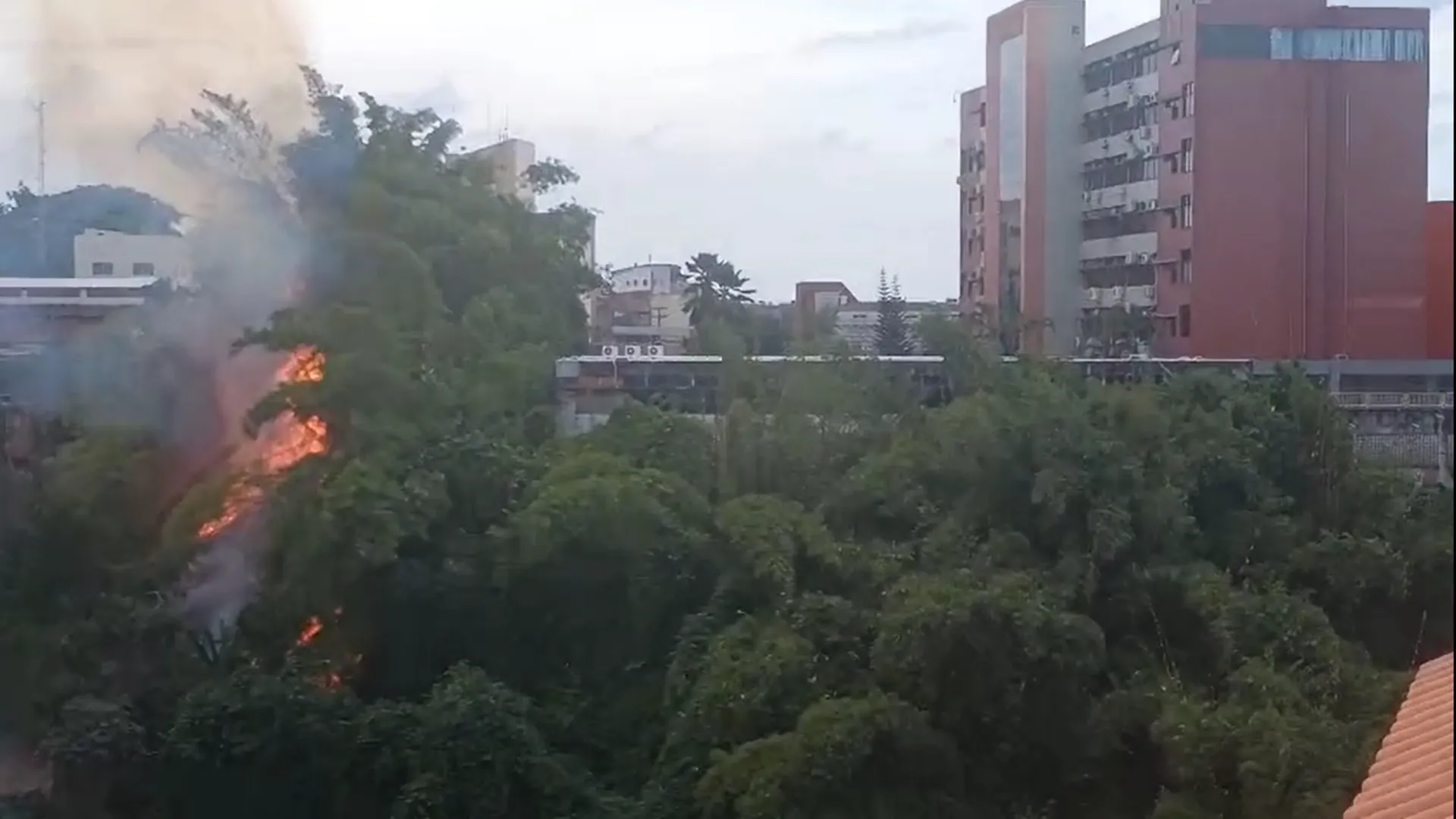 Incêndio atinge vegetação perto de secretaria em Salvador; vídeo