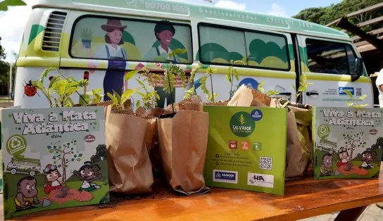 Mudas de árvores nativas são distribuídas no Parque da Cidade nesta sexta-feira; saiba como garantir a sua