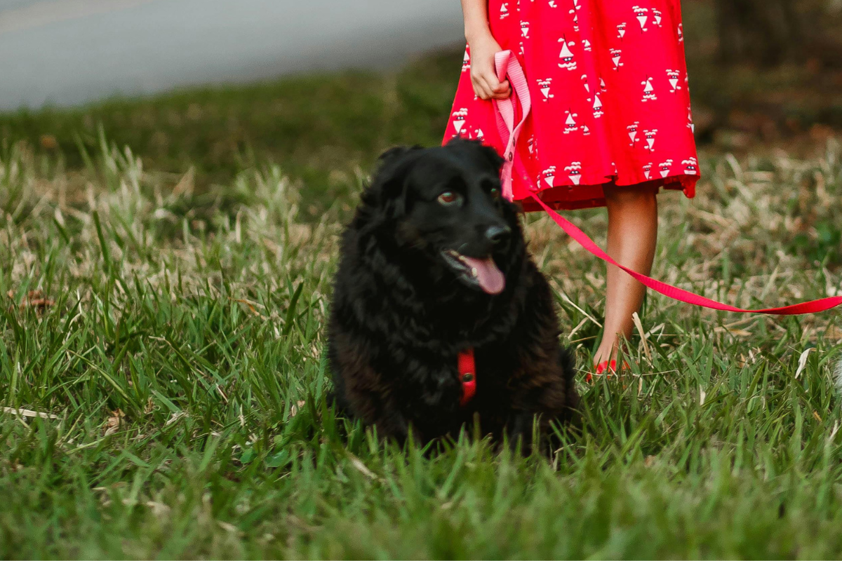 Imagem ilustrativa| Foto: Pexels 