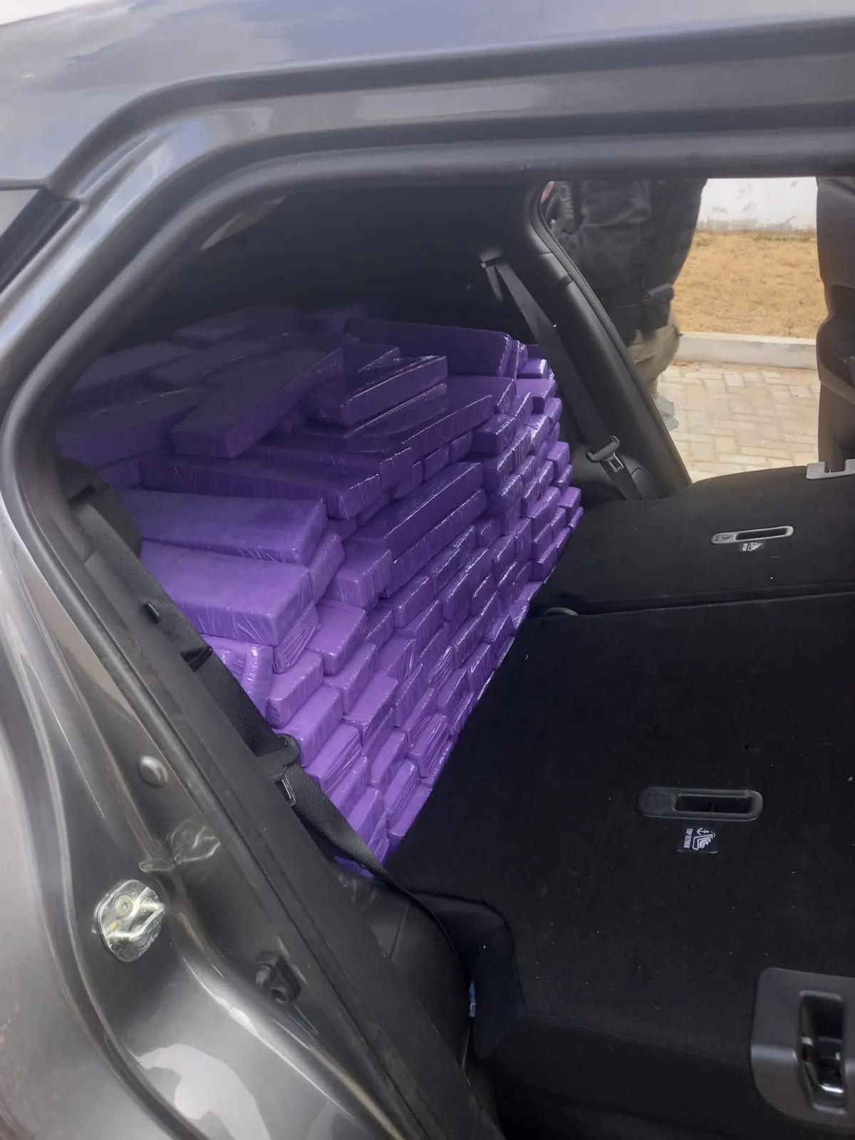 Polícia apreende cerca de 370 kg de maconha no oeste da Bahia