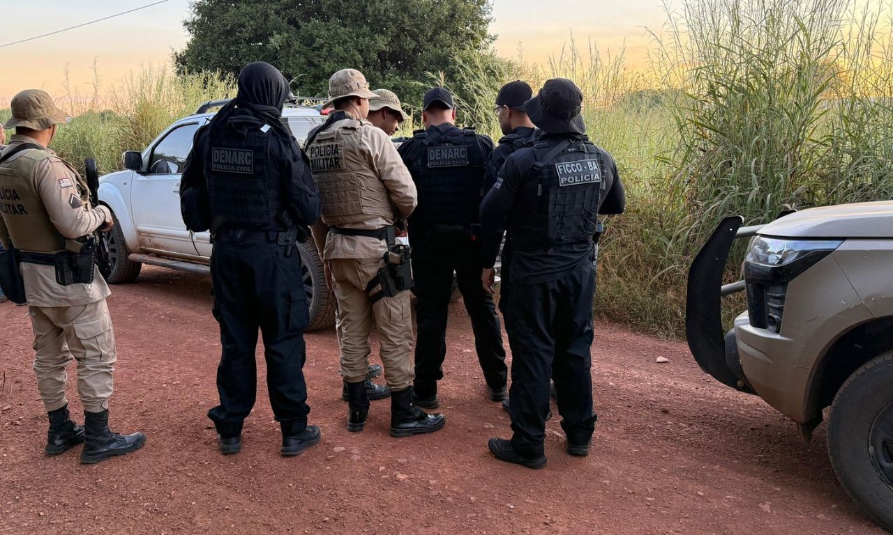Opera&ccedil;&atilde;o encontra ro&ccedil;a com 50 mil p&eacute;s de maconha na Bahia. Foto: Divulga&ccedil;&atilde;o SSP