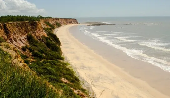 Dia mundial da limpeza: prefeitura baiana participa de iniciativa para limpar praias; saiba como ajudar