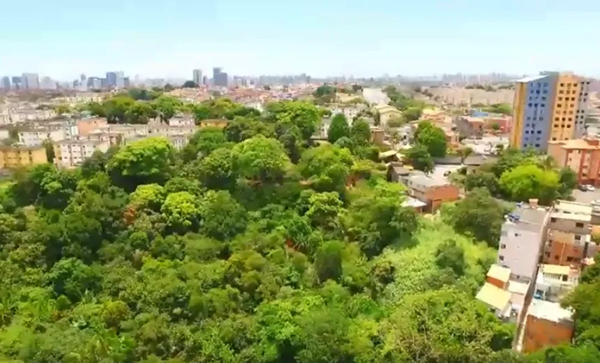 VIVA CABULA: Bairro oferece boas opções de gastronomia, culinária e saúde