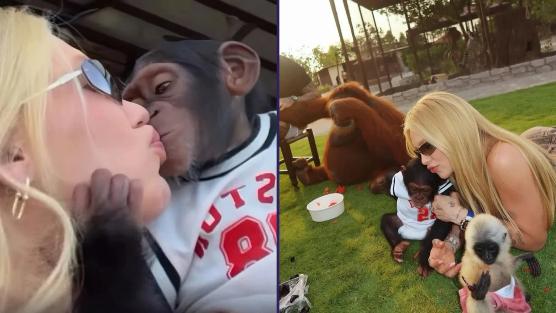 Virginia fala sobre insinuações racistas a vídeo com macaco: 'Levaram para outro lado'