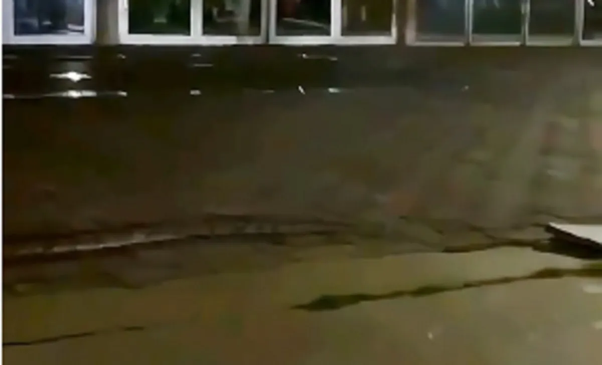 Após visita dos patos, cobra desfila em área da UFBA