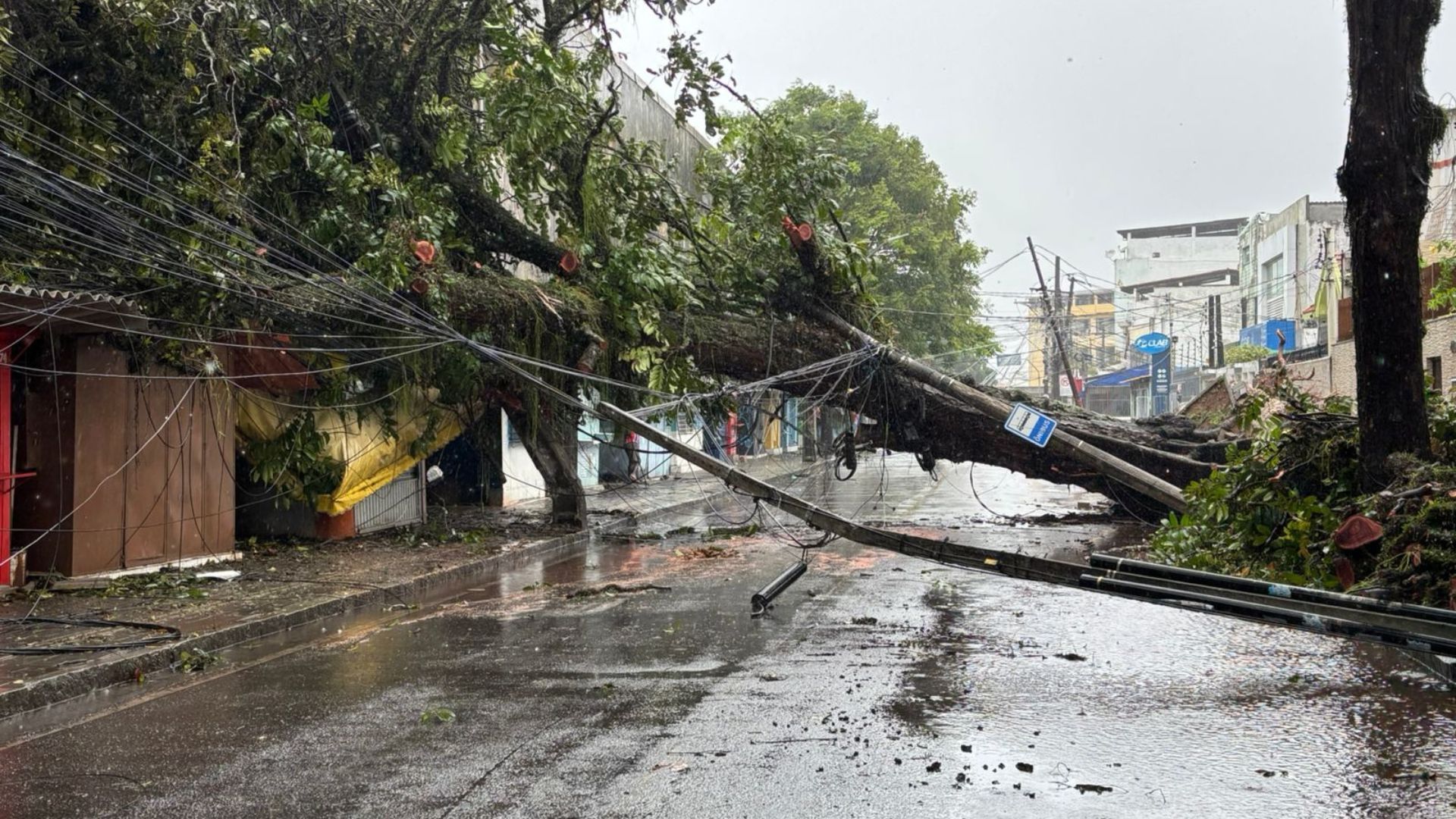 Consequências das chuvas em Salvador. Foto: Vitor Castro | TV Aratu