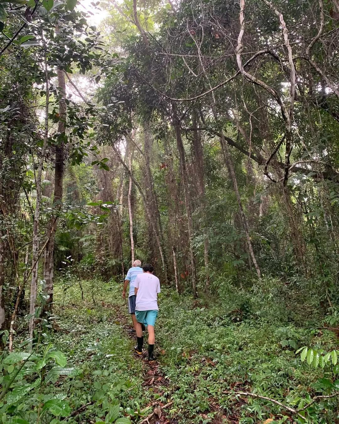 O sabor da floresta: a família que transformou um sonho orgânico em negócio na Bahia
