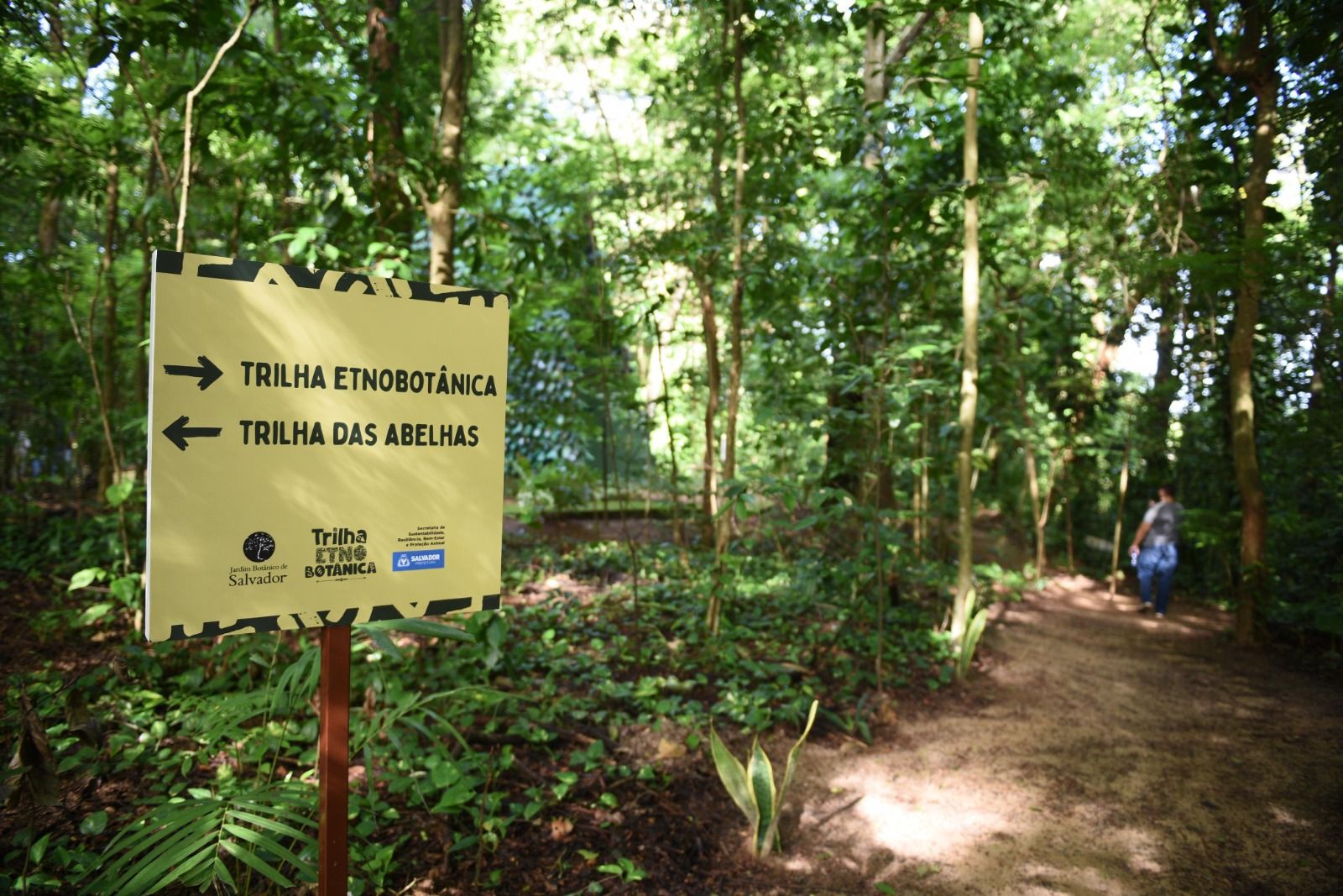 Conheça O Novo Jardim Etnobotânico De São Marcos