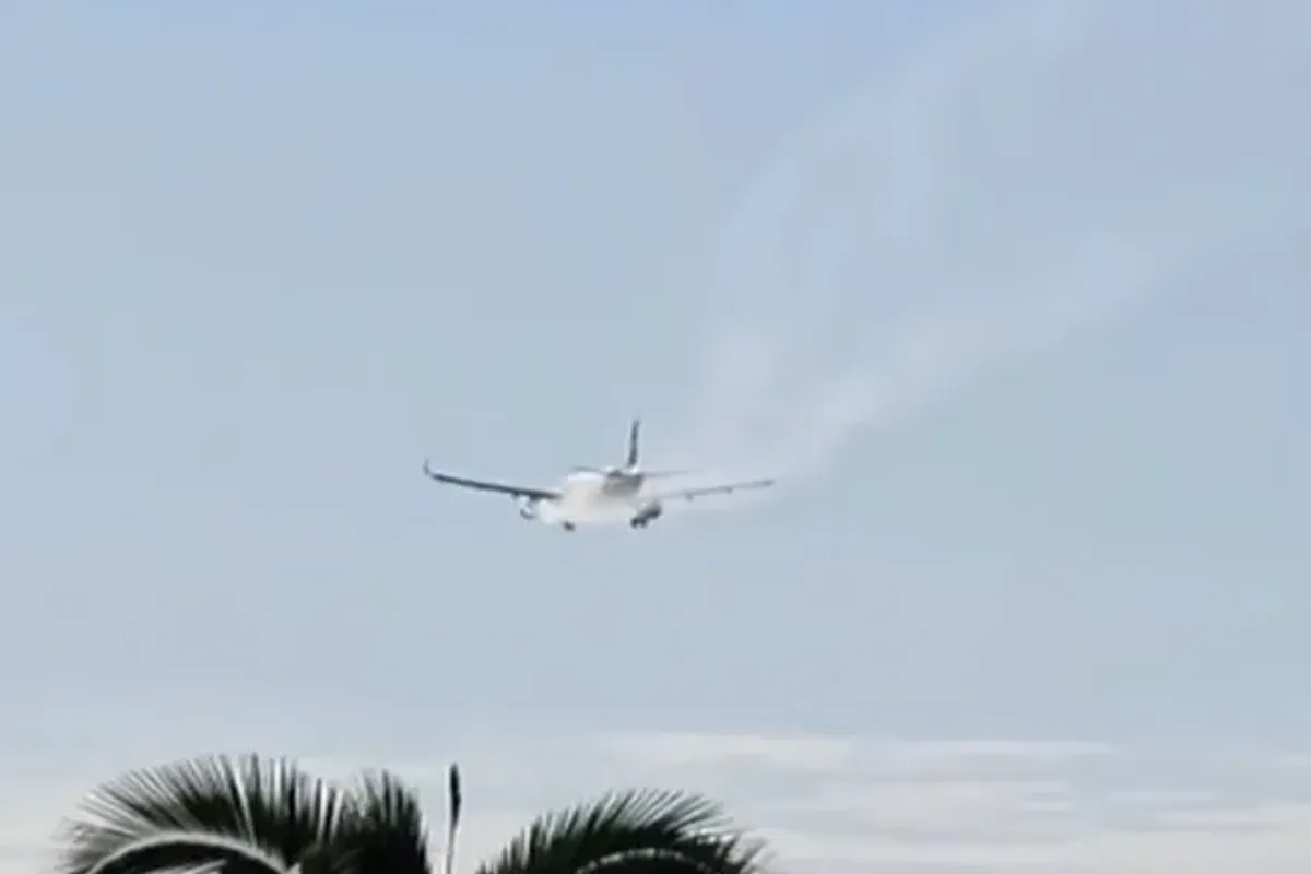 Avi&atilde;o que seguia para Salvador faz pouso de emerg&ecirc;ncia ap&oacute;s colis&atilde;o com ave. Foto: Divulga&ccedil;&atilde;o