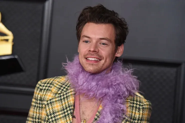 Show! Cantor Harry Styles faz doação de R$ 30 milhões para instituições de caridade