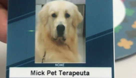 Conheça Mick, o cãozinho contratado para alegrar pacientes do Hospital Municipal de Salvador