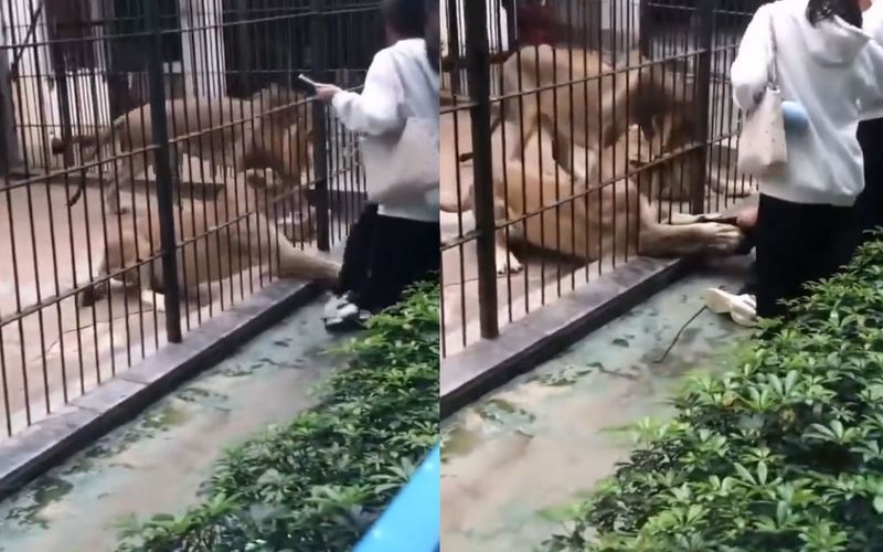 A menina estava em uma &aacute;rea onde normalmente apenas funcion&aacute;rios t&ecirc;m permiss&atilde;o de acesso/Foto: Reprodu&ccedil;&atilde;o&nbsp;