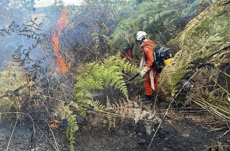 Cerca de 200 bombeiros militares combatem incêndios florestais na Bahia neste domingo