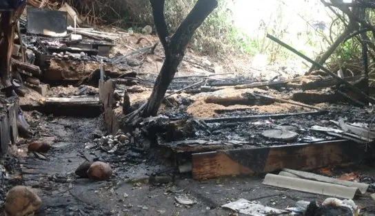 Incêndio atinge abrigo de gatos em Piatã; suspeita é de que ação foi criminosa