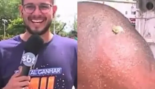 Pombo cocorreio: cinegrafista da TV Aratu é 'batizado' ao vivo; veja vídeo