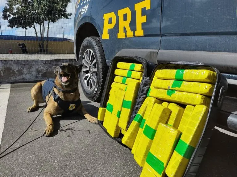 Mais de 20 kg de maconha são apreendidos em ônibus em Vitória da Conquista