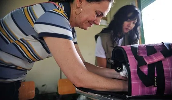 Pesquisa brasileira investiga transmissão de Covid-19 entre homens e animais