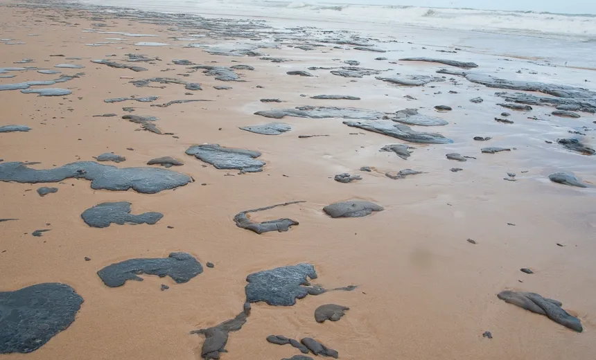 Mais de 525 toneladas de resíduos são retiradas de praias do Litoral Nordestino atingidas por óleo