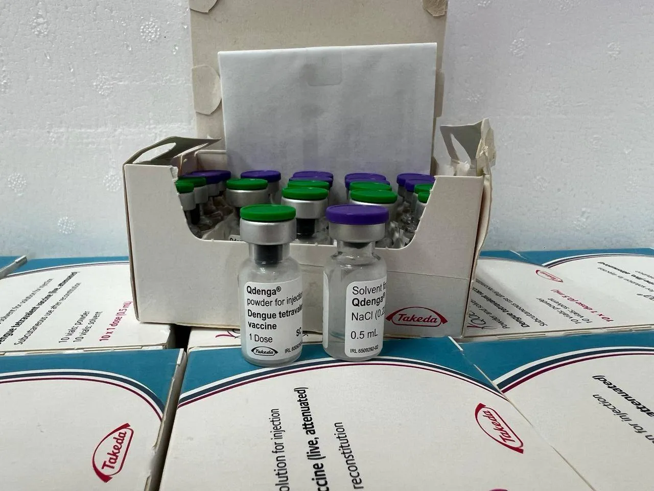 Bahia recebe primeira remessa de vacina contra a dengue; 13 municípios estão em epidemia