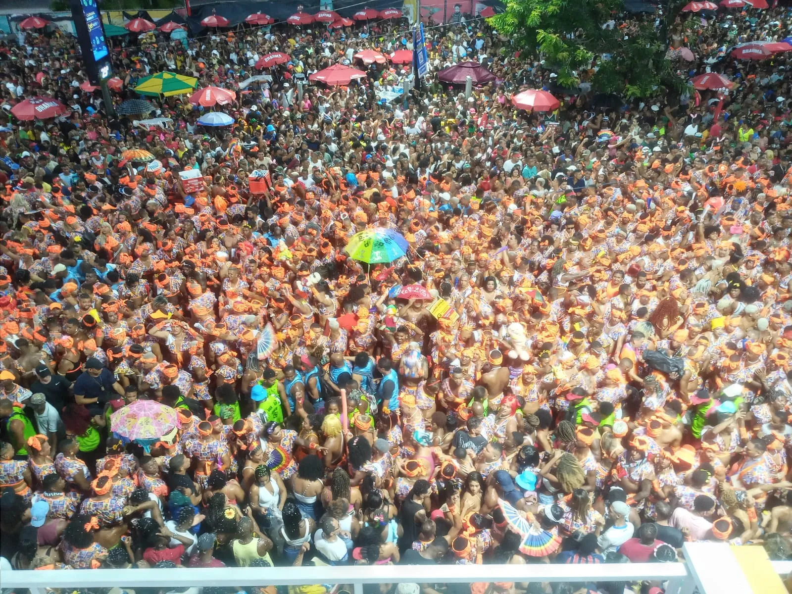 As Muquiranas anunciam atrações e tema da fantasia do Carnaval 2027